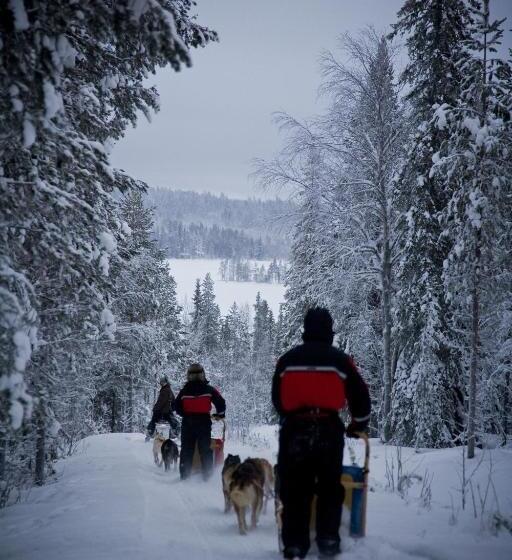 Beana Laponia   Wilderness Boutique Hotel With Safaris