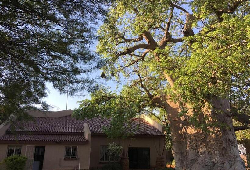 مبيت وإفطار Baobab Lane Lodge