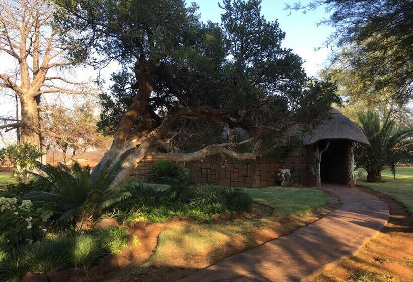 مبيت وإفطار Baobab Lane Lodge