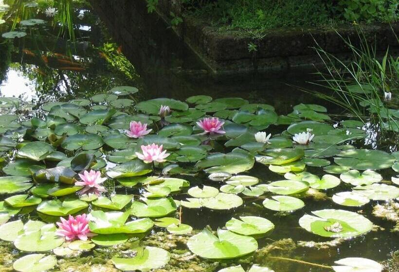 住宿加早餐 De Witte Wolk