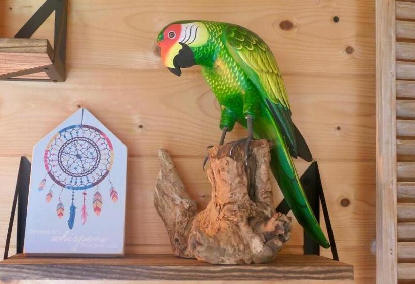 민박 De Zilte Zeehoeve