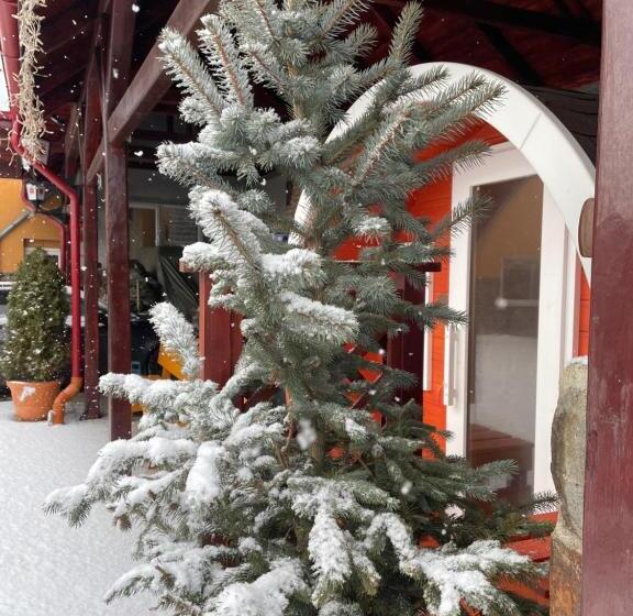 צימר Engi Panzió