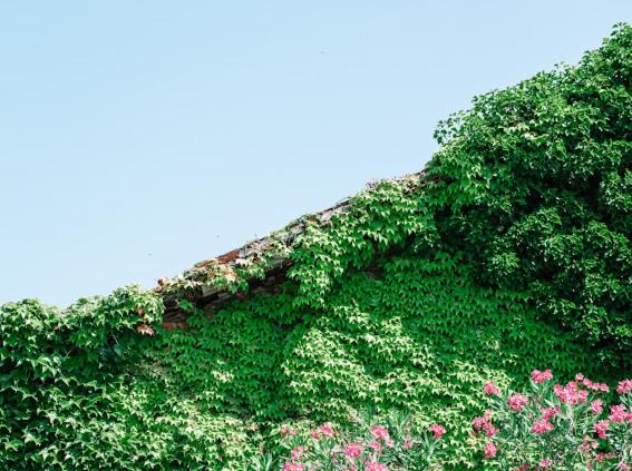 ベッドアンドブレックファースト La Barchessa