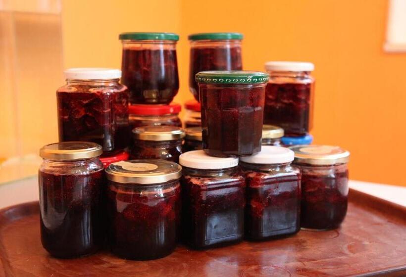 Bed and Breakfast La Bertonnerie En Champagne