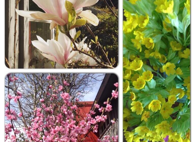 צימר Lådfabriken