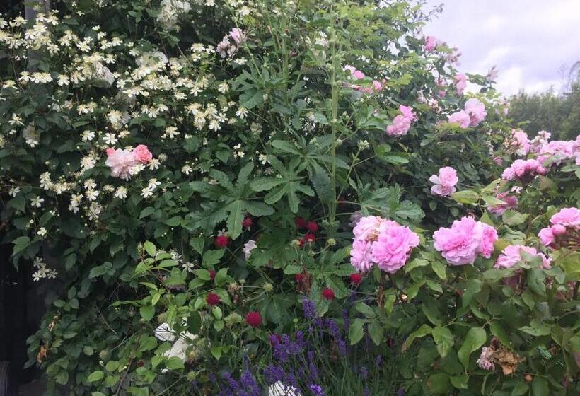 צימר Lådfabriken