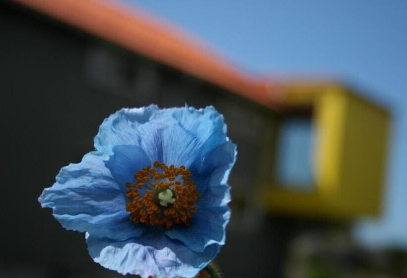 צימר Lådfabriken