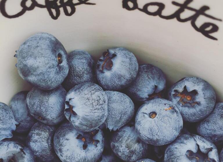 צימר Lådfabriken