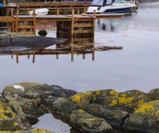 צימר Lådfabriken