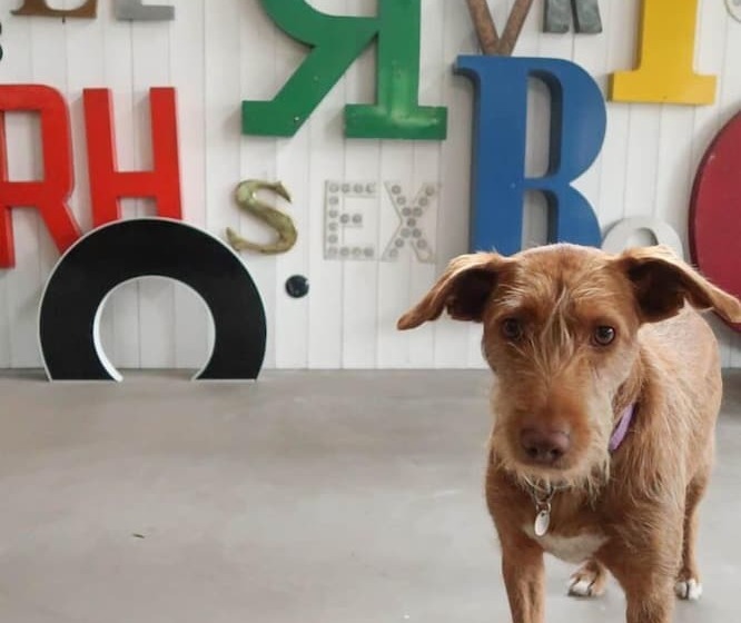 צימר Lådfabriken