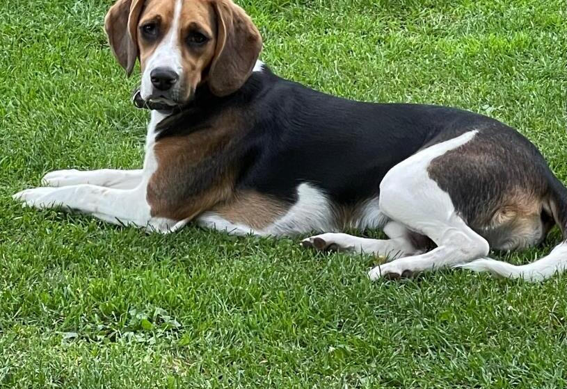 Bed and Breakfast Ma Campagne