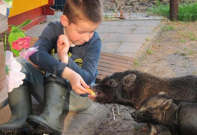 צימר Pipowagen Minicamping De Linde