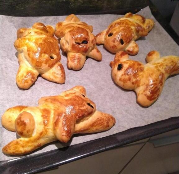 Bed & Breakfast Swiss Borzoi House