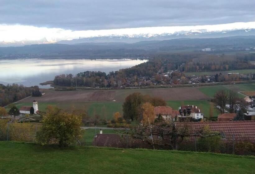 Bed & Breakfast Swiss Borzoi House