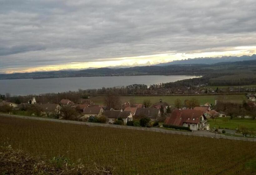 Bed & Breakfast Swiss Borzoi House