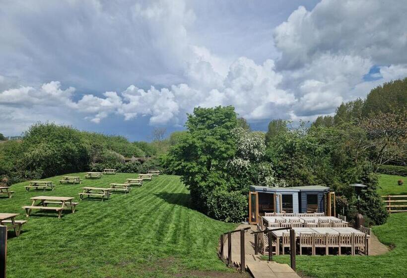 Bed and Breakfast The Star