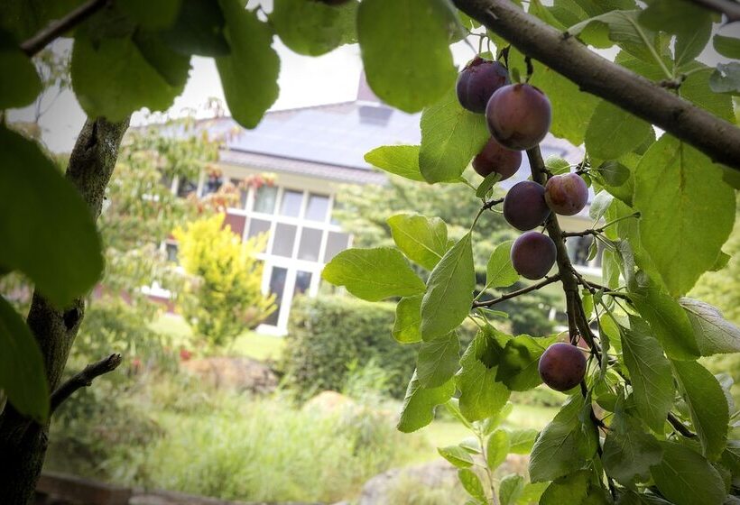 住宿加早餐  Villa Het Bascour