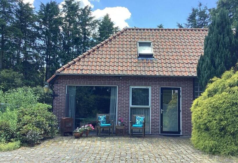 Bed & Breakfast De Haere