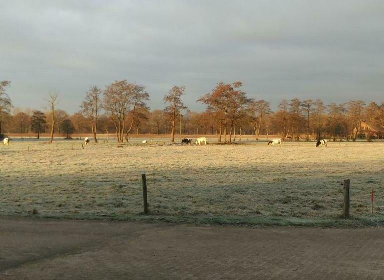 Bed & Breakfast El Manso