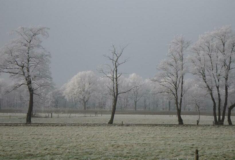 Bed & Breakfast El Manso