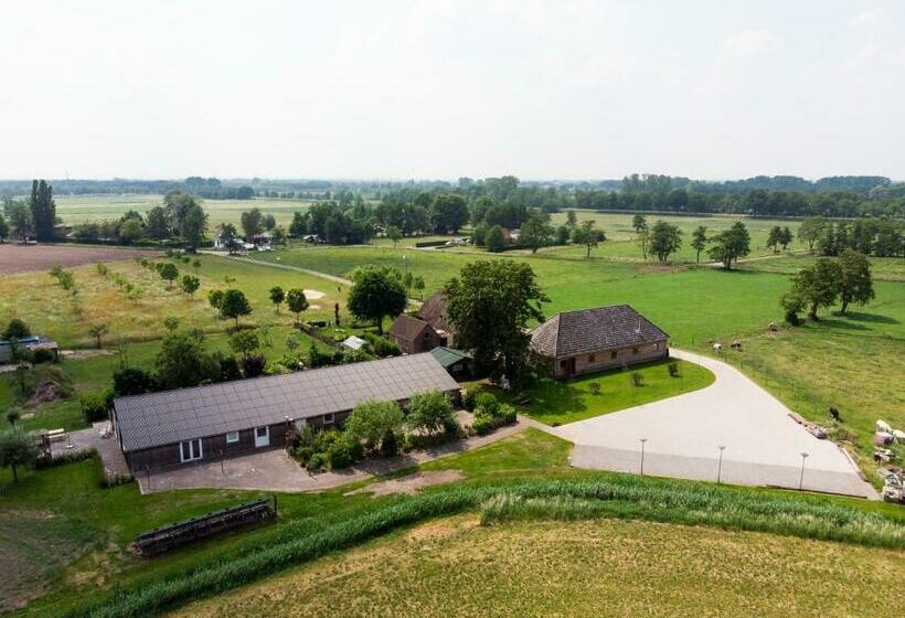 Bed & Breakfast El Manso