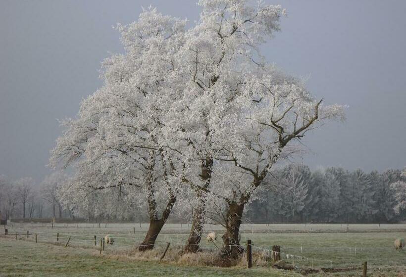 Bed & Breakfast El Manso