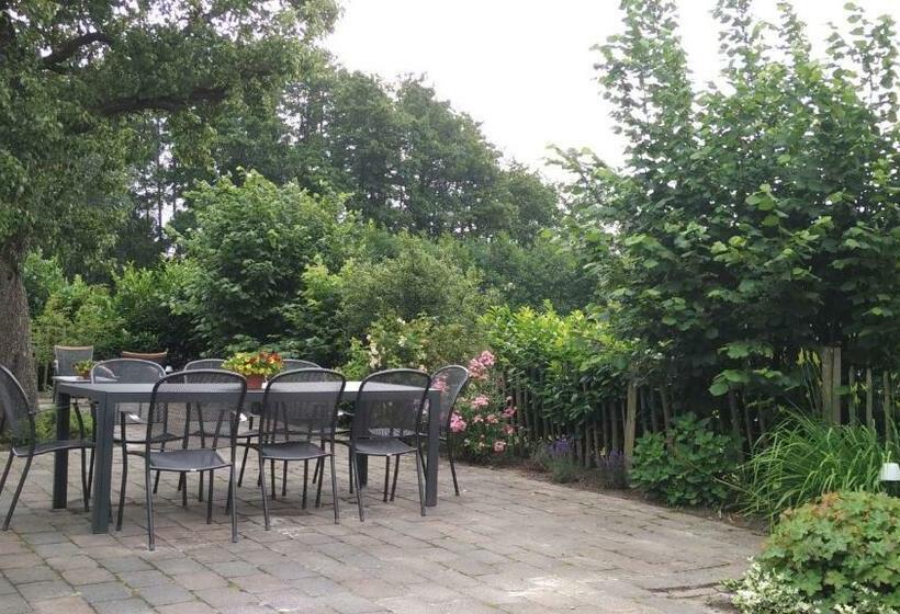 Bed & Breakfast El Manso