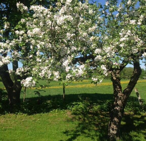 Fredriksons Vilt, Vin & Pensionat