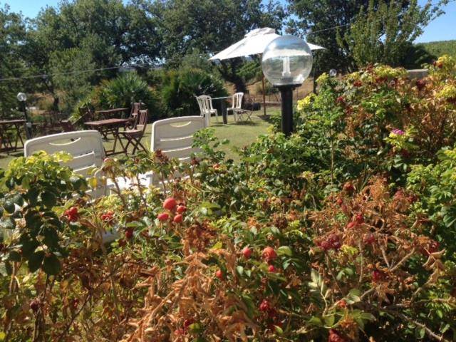 בית מלון כפרי Agriturismo La Carletta