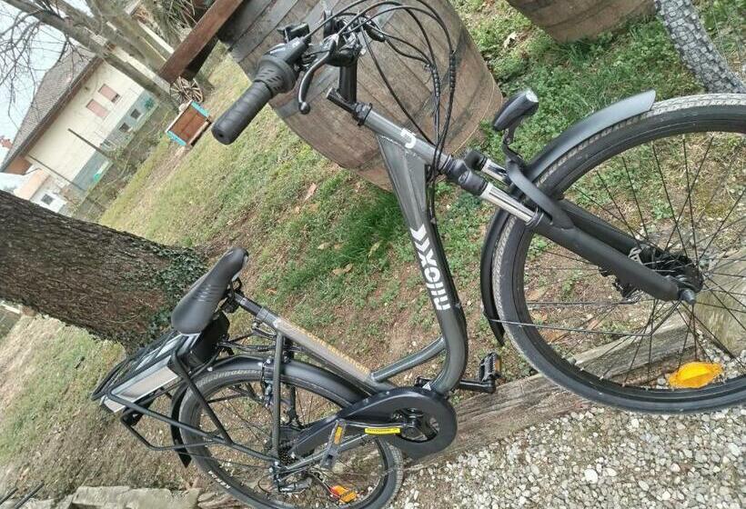 בית מלון כפרי Agriturismo Le Oche Selvatiche