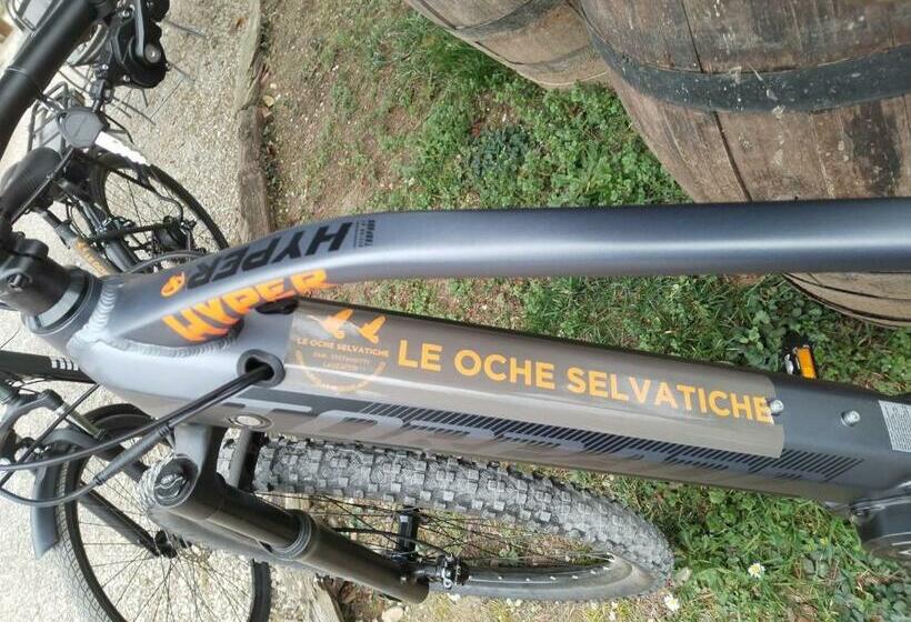 בית מלון כפרי Agriturismo Le Oche Selvatiche