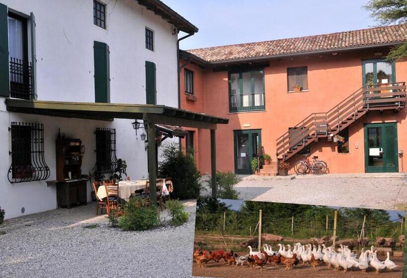فندق Agriturismo Le Oche Selvatiche