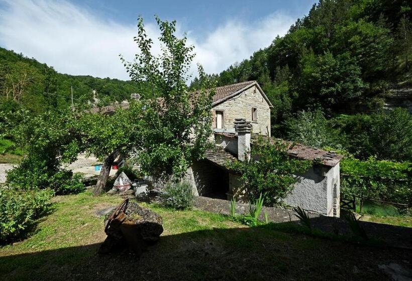 Отель Agriturismo Mulino Di Culmolle
