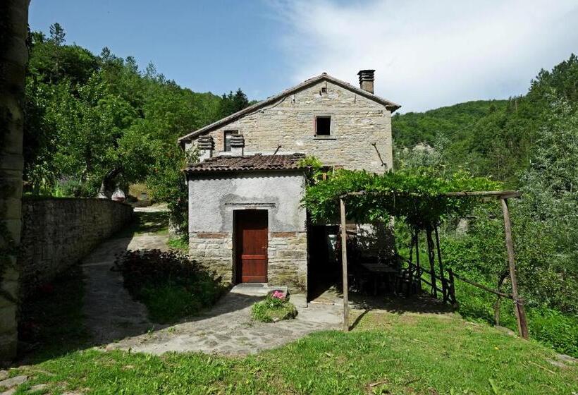 Отель Agriturismo Mulino Di Culmolle