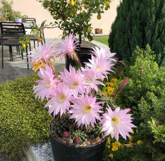 هتل Agriturismo Regusci