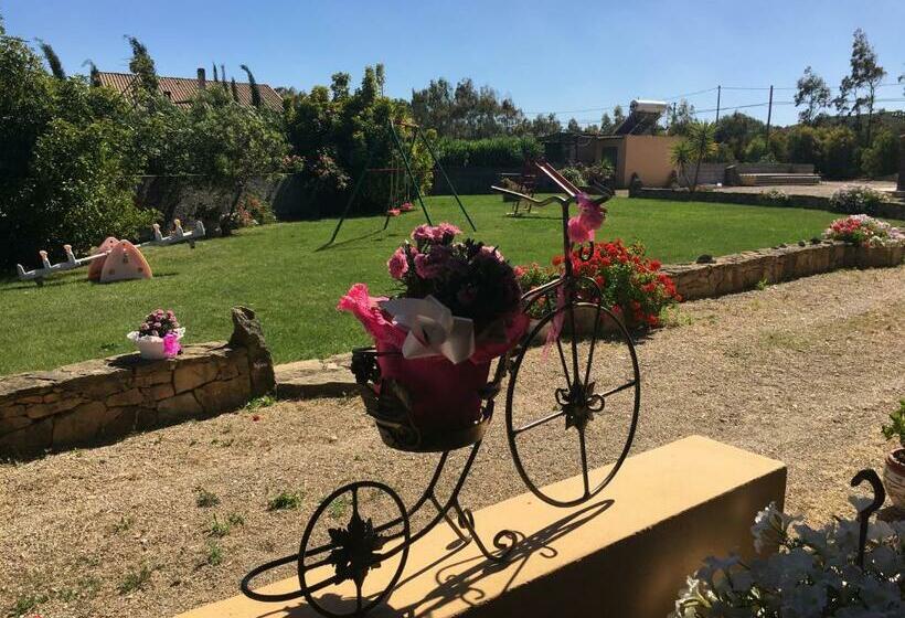 בית מלון כפרי Agriturismo Sechi