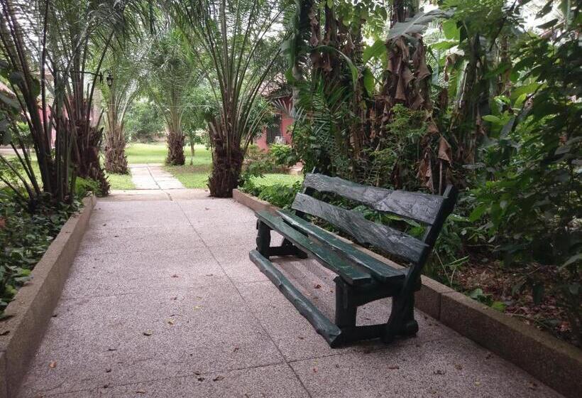 בית מלון כפרי Big Foot Safari Lodge