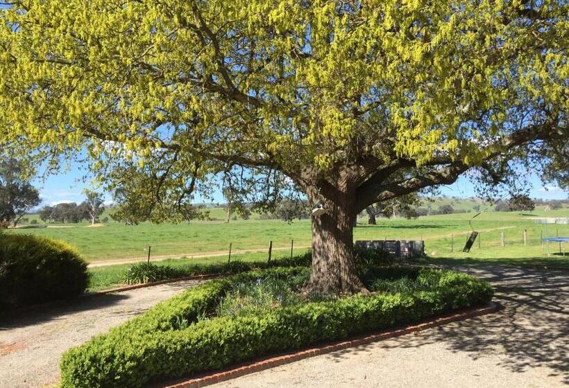 호텔 Birchwood Cottage