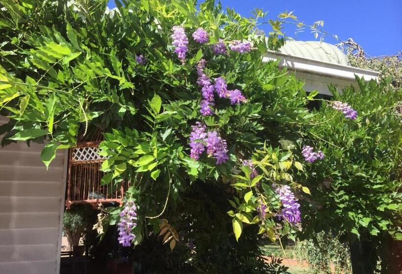 Отель Birchwood Cottage