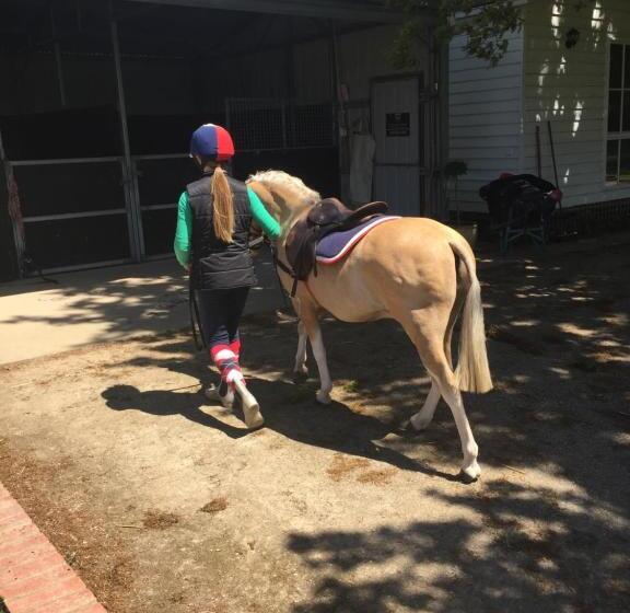 酒店 Birchwood Cottage