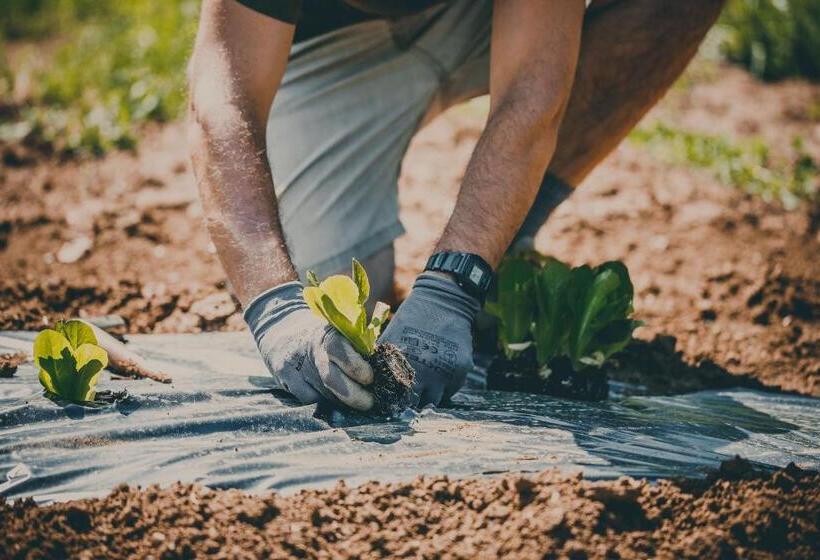 Отель Ca  Del Monte Resort