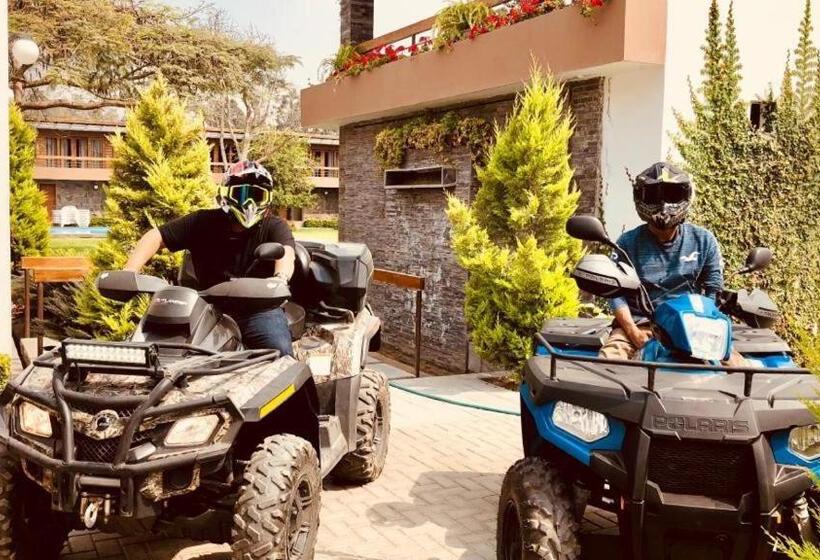 בית מלון כפרי Campo & Leña