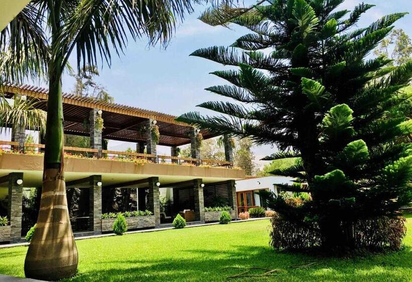 בית מלון כפרי Campo & Leña