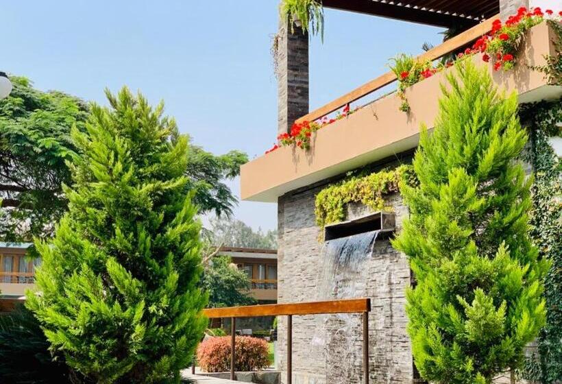 בית מלון כפרי Campo & Leña