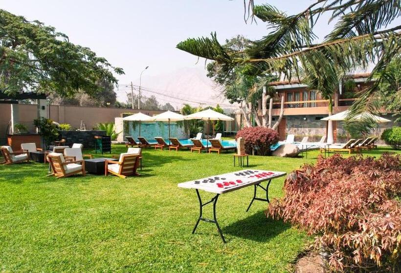 בית מלון כפרי Campo & Leña