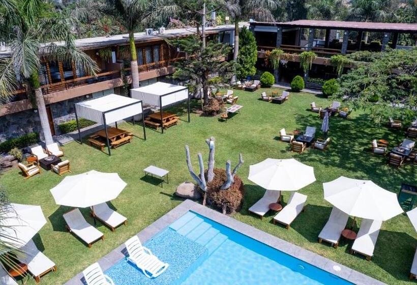 בית מלון כפרי Campo & Leña