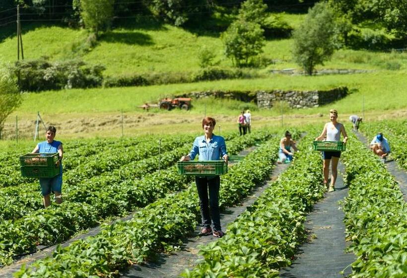 فندق Coltiviamo Sogni