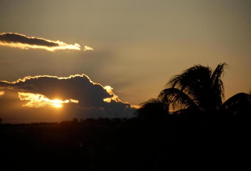 בית מלון כפרי Ekokuelap Lodge Y Turismo Alternativo