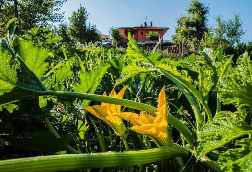 בית מלון כפרי Foresteria La Merlina