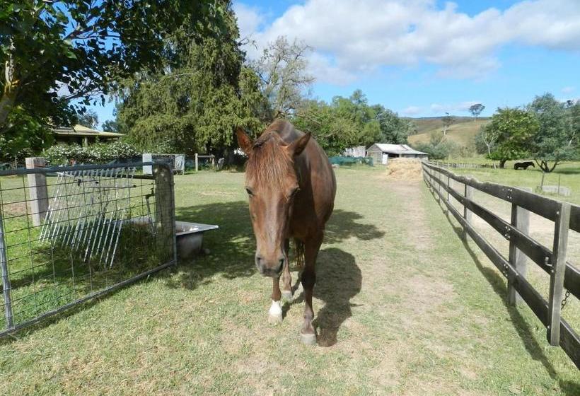 فندق Glenfield Cottage